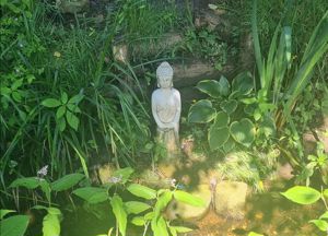 Garden- click for photo gallery